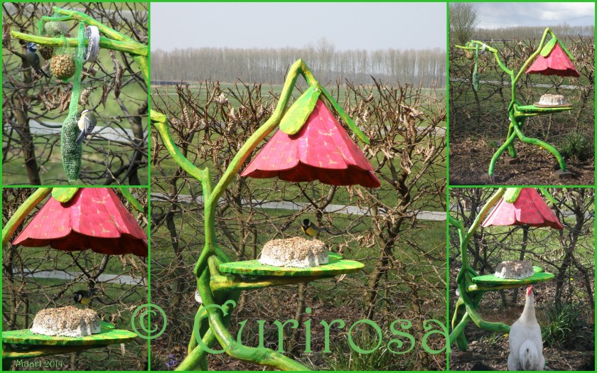 2014-03-27 Haas, vogels, theemuts, verjaardagvoegelhuis, ringen